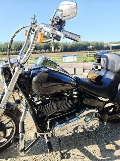 Harley-Davidson Low Rider 1750 cc - ფოტო 8