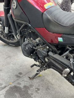 Benelli Lion Cub Leoncino 500 - ფოტო 5