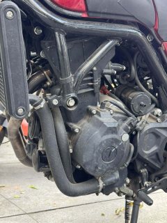 Benelli Lion Cub Leoncino 500 - ფოტო 6