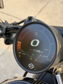 Harley-Davidson Sportster S 1250 cc - фото 9