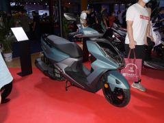 Xiaxinsanyang FNX150 - ფოტო 11