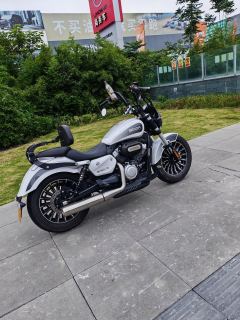 Benda Polestones 03 Gray 300 cc - ფოტო 6