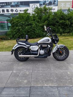 Benda Polestones 03 Gray 300 cc - ფოტო 7