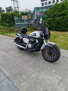 Benda Polestones 03 Gray 300 cc - ფოტო 8