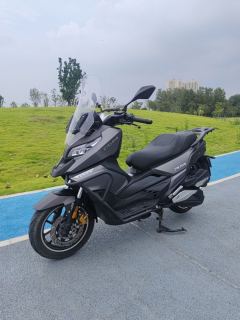 Cyclone RT2 250 cc - ფოტო 5