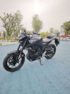 Yamaha MT-03 320 cc - ფოტო 2