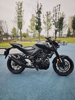 Yamaha MT-03 320 cc - ფოტო 3