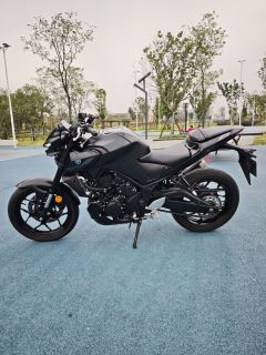 Yamaha MT-03 320 cc - ფოტო 9