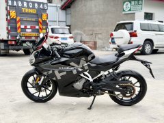 CFMOTO 250SR - ფოტო 2