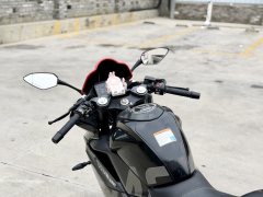 CFMOTO 250SR - ფოტო 3