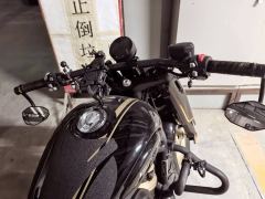 Benda Napoleon 450 - photo 2