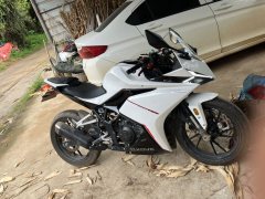 Kayo 250RR Thornbird - photo 2