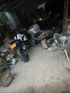 Kayo 250RR Thornbird - photo 5