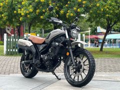 Honda CL300 - photo 1