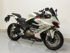 QJMOTOR SRK 550 - фото 4