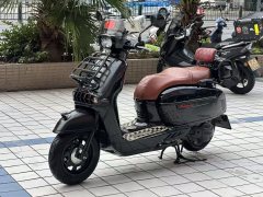 Weiduoliya Sixties 150Si - ფოტო 1