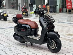 Weiduoliya Sixties 150Si - ფოტო 7