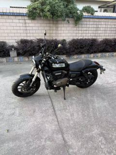 QJMOTOR Flash 300 - ფოტო 3