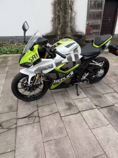 QJMOTOR SRK 250 - фото 5