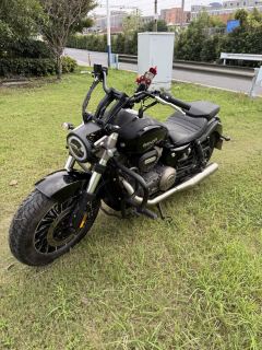 Benda Polestones 03 Gray 300 cc - ფოტო 4