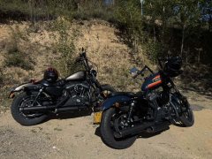 Harley-Davidson 1200N Nightster - ფოტო 3