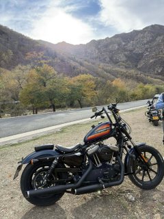 Harley-Davidson 1200N Nightster - ფოტო 4