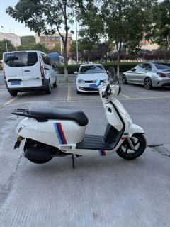 Wangjiang Li 125 cc - ფოტო 5