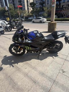 Yamaha YZF-R3 320 cc - ფოტო 3