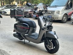 Weiduoliya Sixties 150Si - ფოტო 3