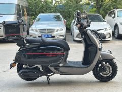 Weiduoliya Sixties 150Si - ფოტო 5