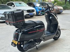 Weiduoliya Sixties 150Si - ფოტო 6