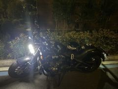 Benda Chinchilla 350 - ფოტო 4