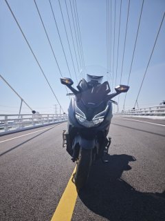 Honda NSS350 (import) - ფოტო 1