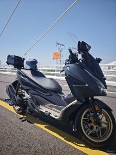 Honda NSS350 (import) - ფოტო 6