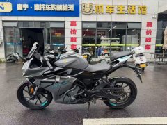 CFMOTO 250SR - ფოტო 6