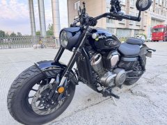 Benda Chinchilla 450 - photo 6