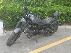Cyclone RA250 - ფოტო 4