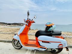 Weiduoliya Sixties 300i - фото 1