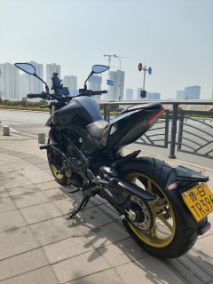 QJMOTOR Chase 350 - ფოტო 8