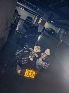 Honda NSS350 (import) - photo 9