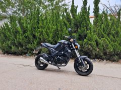 Yingang Little Monster 150 - ფოტო 2