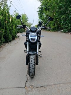 Yingang Little Monster 150 - ფოტო 6
