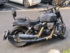 Longjia V Dominator 250 - ფოტო 1