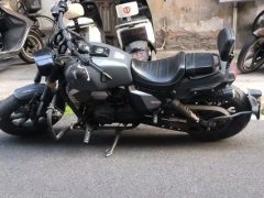 Longjia V Dominator 250 - ფოტო 2