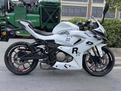 QJMOTOR SRK 250 - фото 1