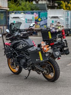 QJMOTOR 900 - ფოტო 6