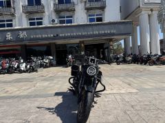 Voge CU250 - ფოტო 4