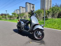 VESPA Sei Giorni 300 cc - ფოტო 2