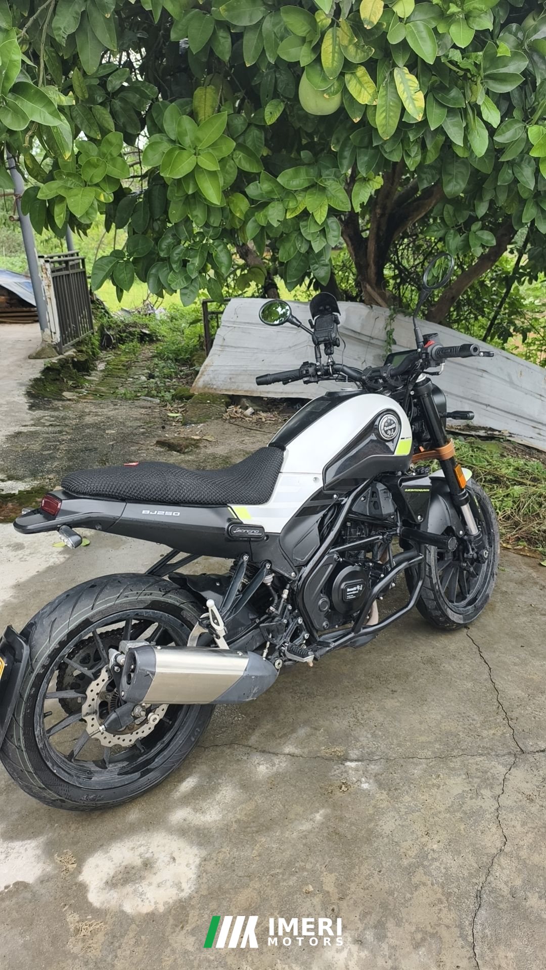 2019 Benelli Young Lion Leoncino 250