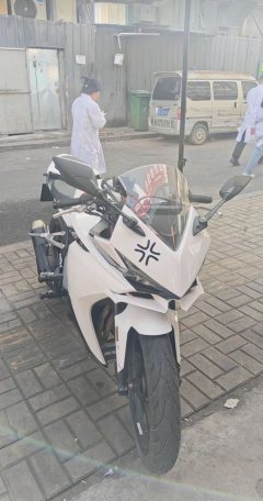 Kayo 250RR Thornbird - ფოტო 1